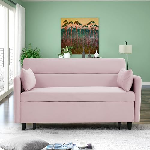 54" Velvet Sleeper Sofa with Two Pillows U787