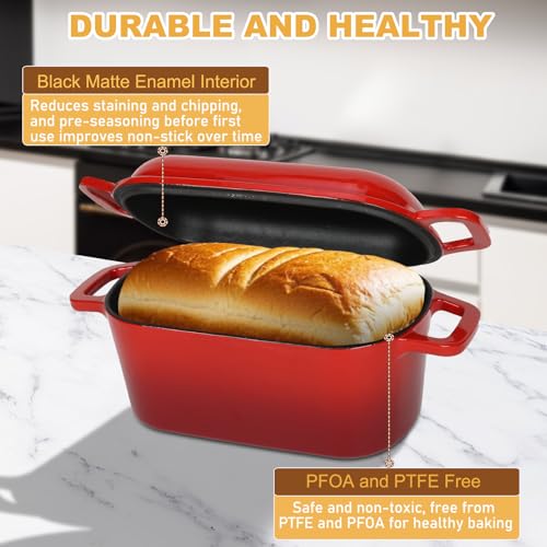 3.6QT Oval Enameled Cast Iron Dutch Oven with Lid X210