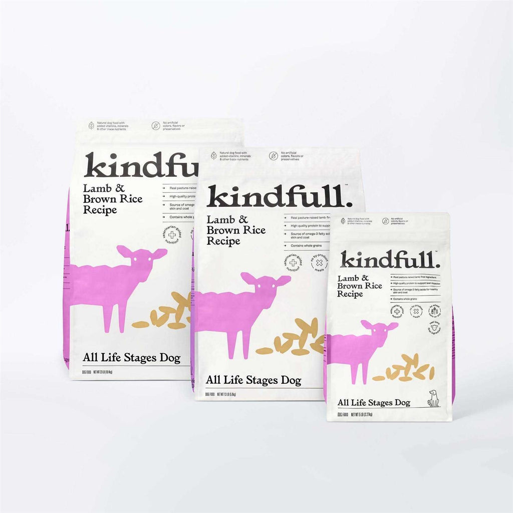 Lamb & Brown Rice Recipe Dry Dog Food K22141