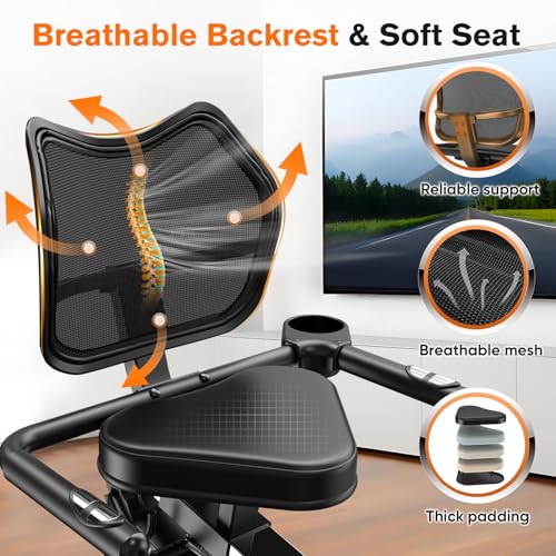 Recumbent Exercise Bike with Arm Exerciser B104735