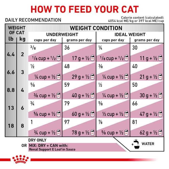 Veterinary Diet Feline Renal Support S Adult Dry Cat Food T788902