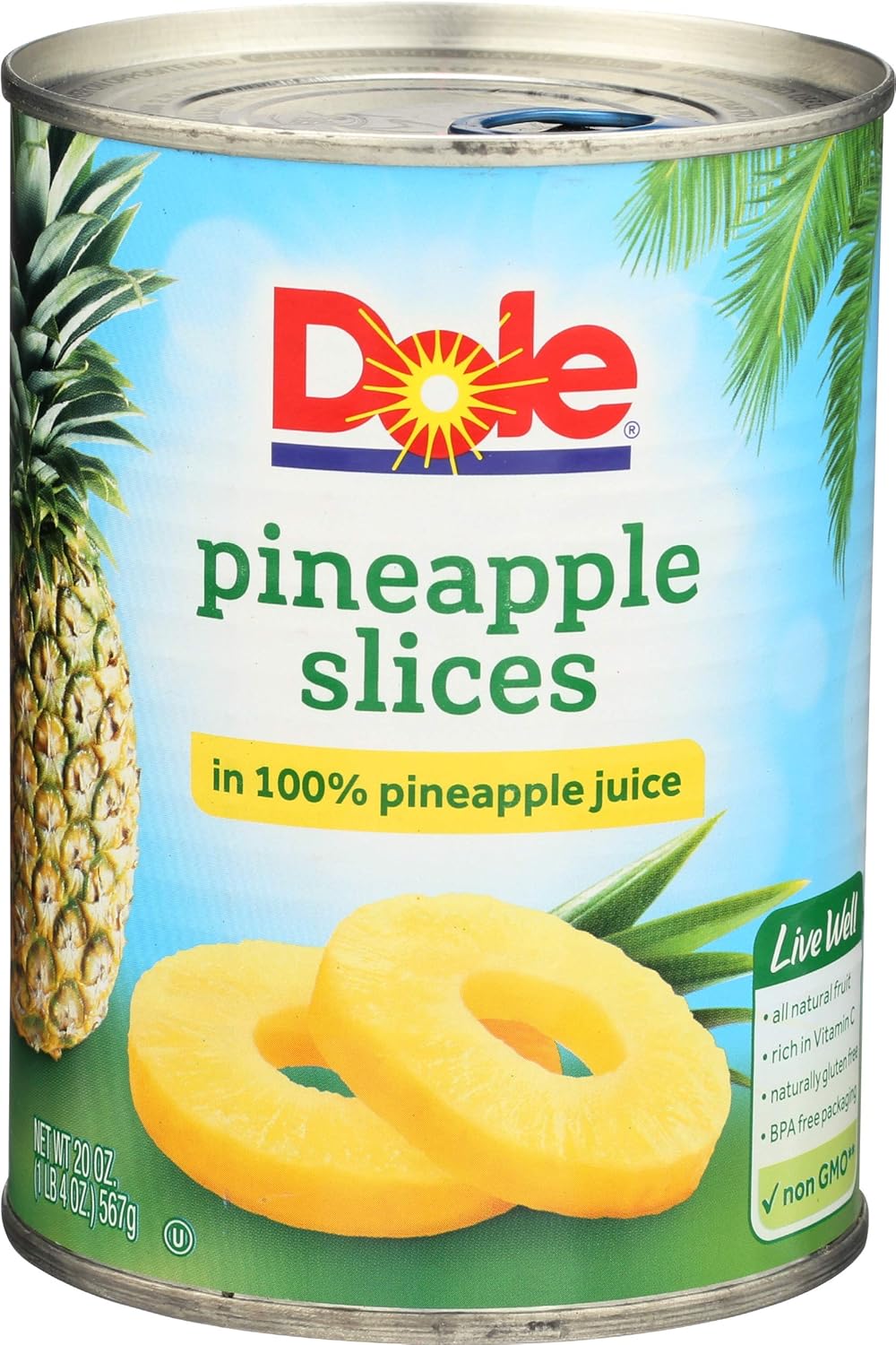 Pineapple Slices in 100% Pineapple Juice 20 oz (Pack of 12) B5851