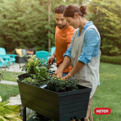 12.7 Gallon Dark Grey Raised Garden Bed Planter with Self Watering Gauge Z28978