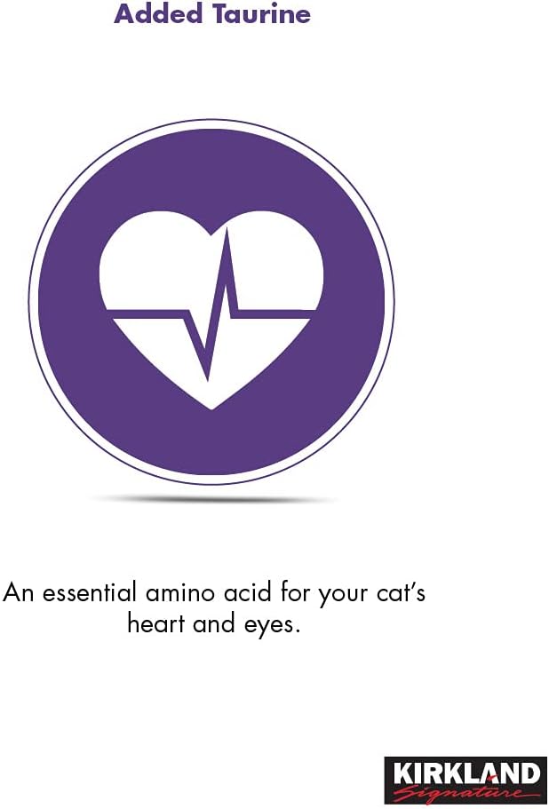 Super Premium Maintenance Cat Food X589789