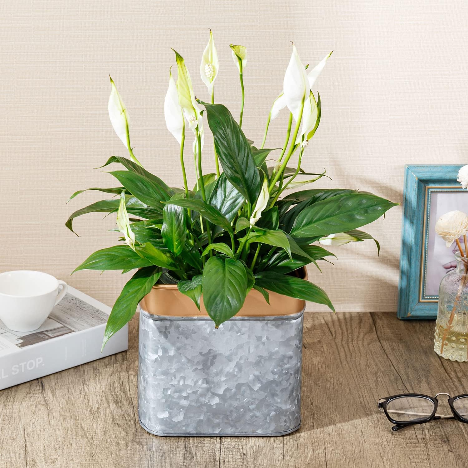 7 Inch Galvanized Metal Square Planter Pot with Rim B34845