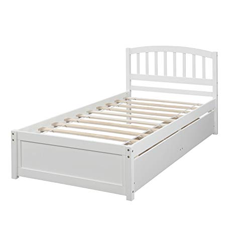 Twin Size Solid Wood Platform Bed with 2 Storage Drawers G506048