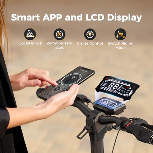 Electric Scooter with 50 Miles Long Range, 38 MPH Top Speed, 12" Offroad Pneumatic Tire E901