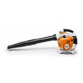 Petrol Blower G173275