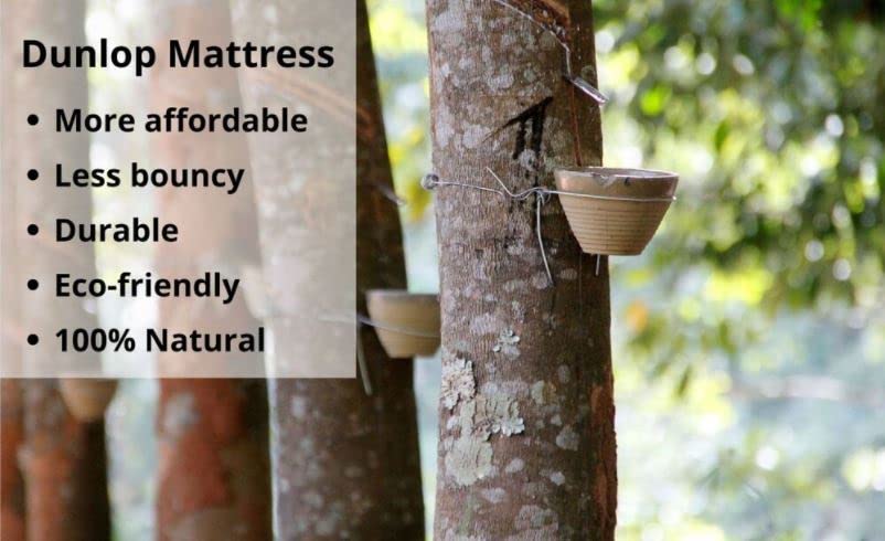Natural Latex Mattress Topper - Medium - 3" Thick, King C425585