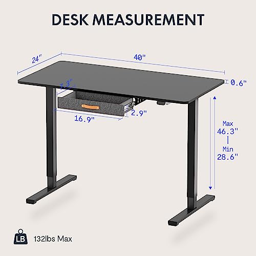 48 x 24 Inches Electric Standing Desk with Drawer D156