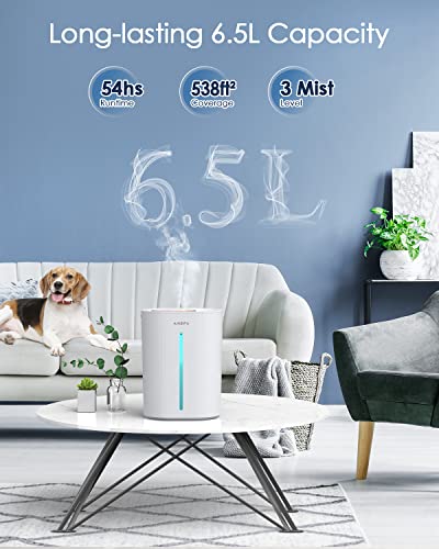 6.5L Cool Mist Humidifier V369111