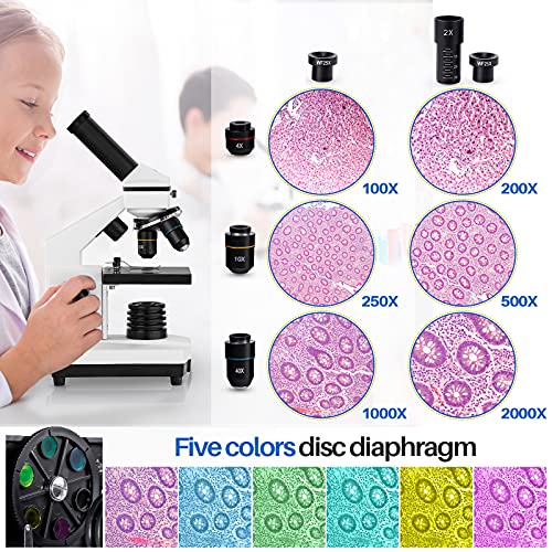 100X-2000X Compound Microscope with Microscope Slides E44435