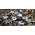Extreme Mallards I742875