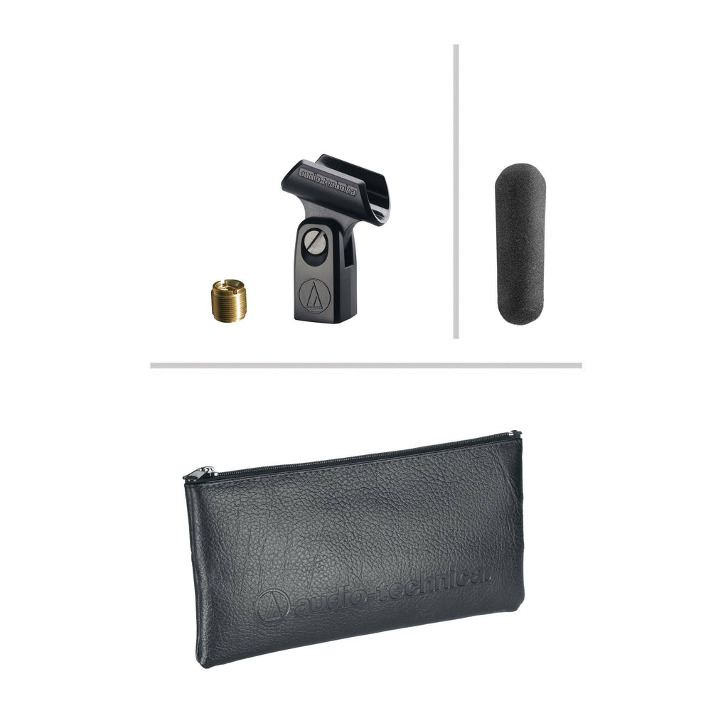 Microphone T80912
