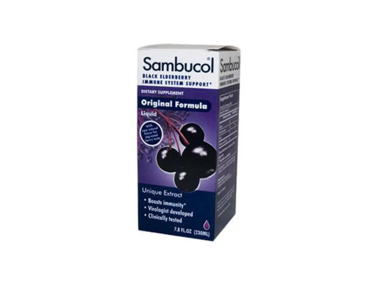 Black Elderberry 4 oz (Pack of 6) R55809