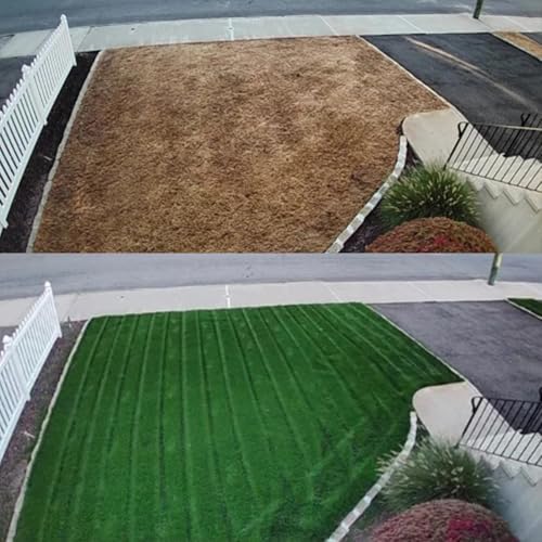 Turf Type Tall Fescue Grass Seed (10 lbs) J742888