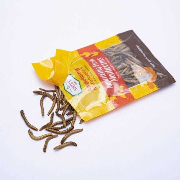 Fresh Mealworms Treats R55247