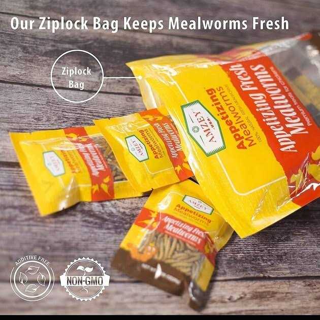 Fresh Mealworms Treats R55247