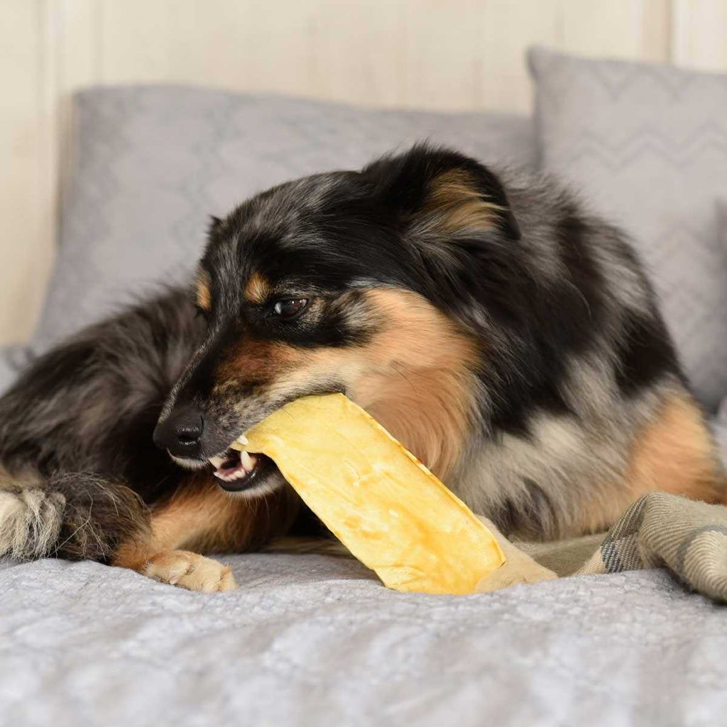 Dental Chewz Dog Treats X17743