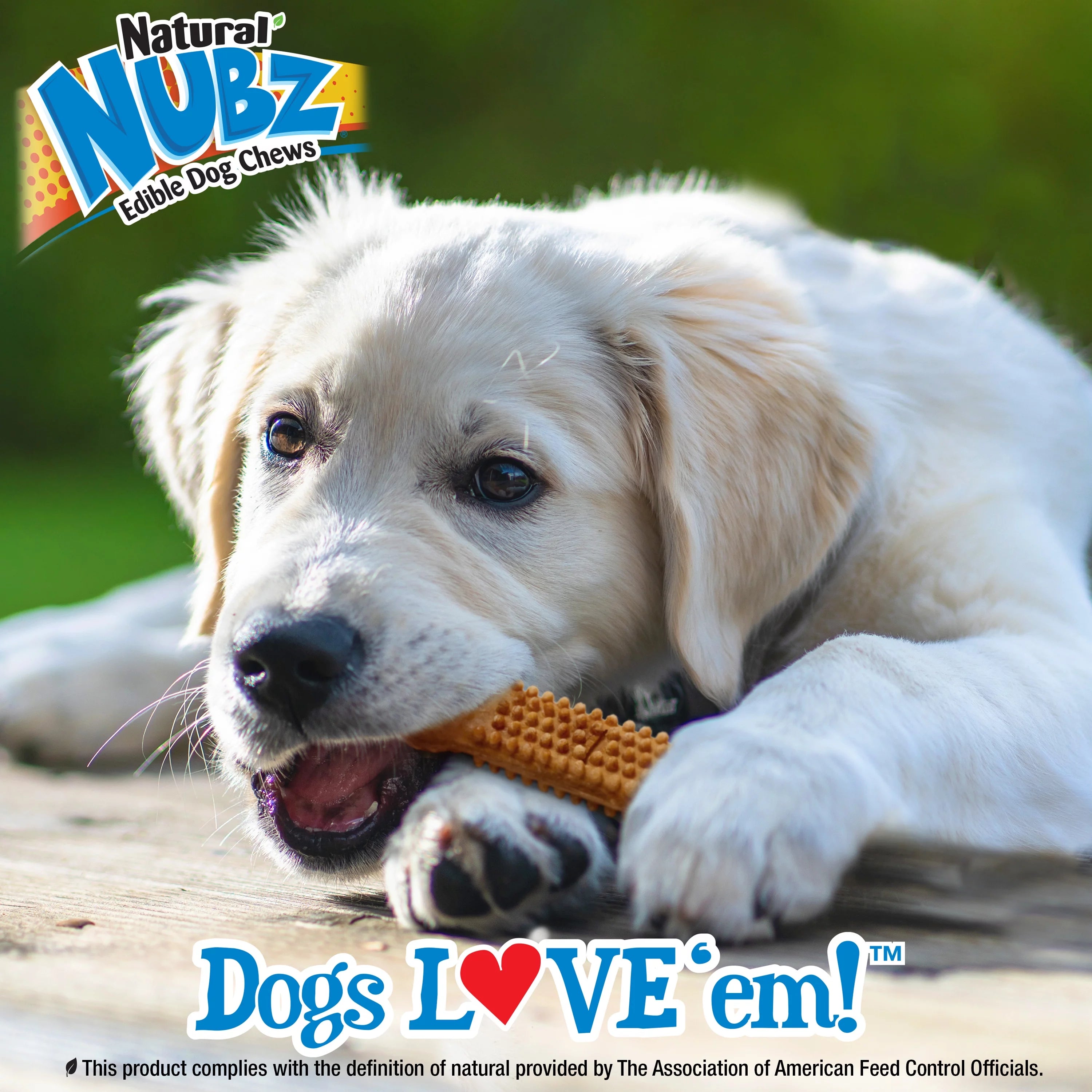 Turkey & Sweet Potato Flavor Small Puppy Chew Treats A927108