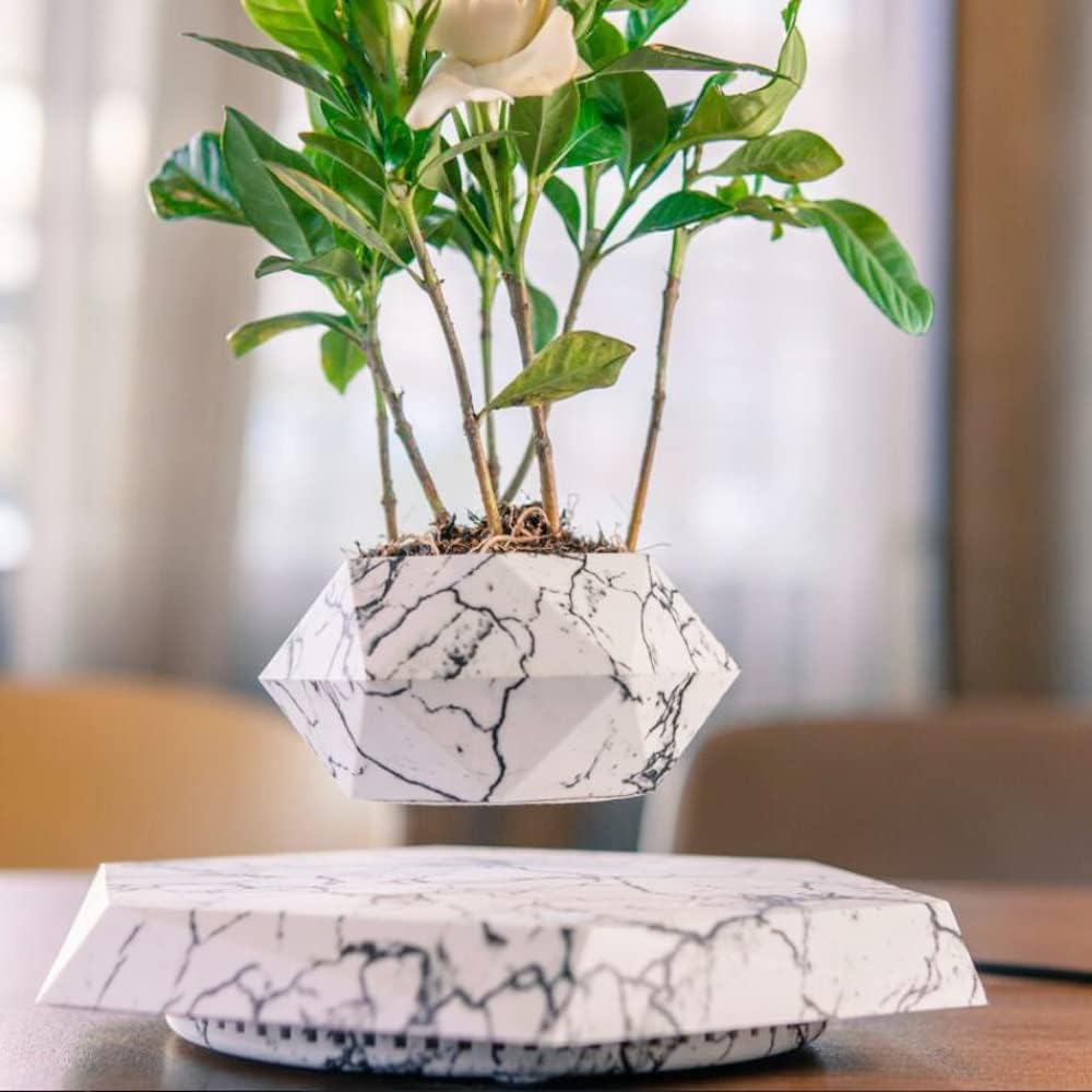 Floating Magnetic Levitating Flower Pot N282638